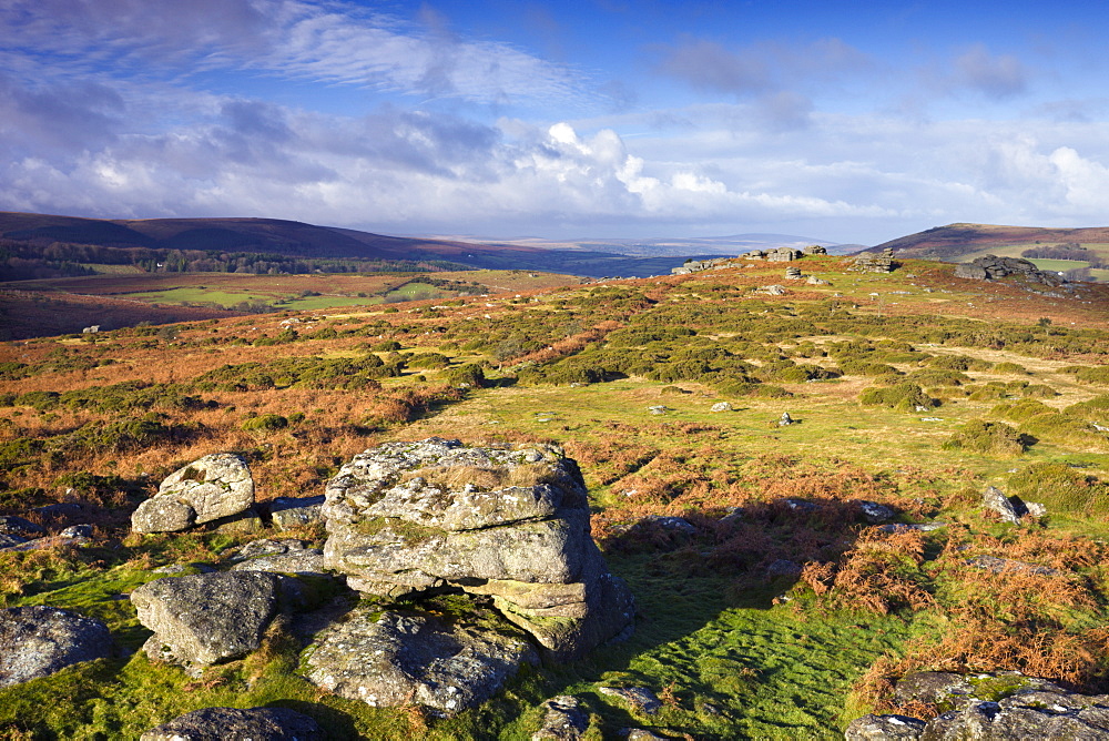 Granite boulders on Hayne Down, Dartmoor National Park, Devon, England, United Kingdom, Europe