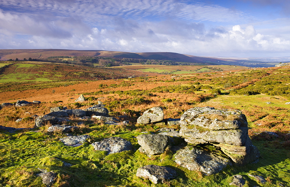 Granite boulders on Hayne Down, Dartmoor National Park, Devon, England, United Kingdom, Europe