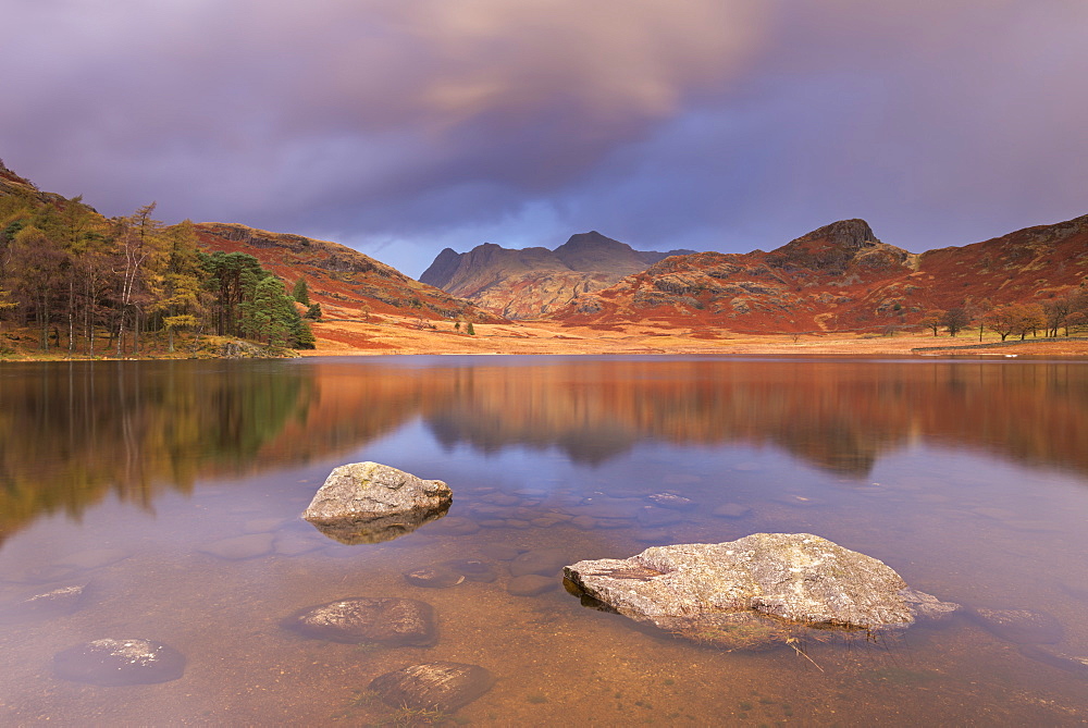 Sunrise over Blea Tarn and the Langdale Pikes in autumn, Lake District National Park, Cumbria, England, United Kingdom, Europe