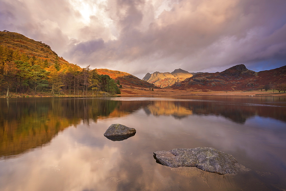 Dramatic sunrise light over Blea Tarn and the Langdale Pikes in autumn, Lake District National Park Cumbria, England, United Kingdom, Europe