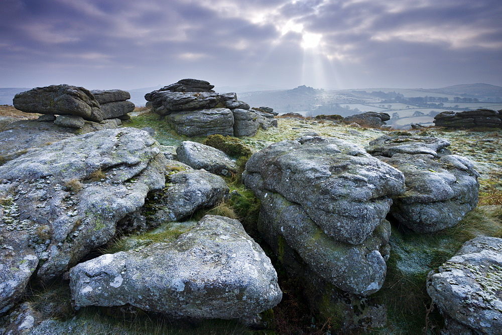 Frosted granite outcrop on Hayne Down, looking towards Hound Tor on the horizon, Dartmoor National Park, Devon, England, United Kingdom, Europe