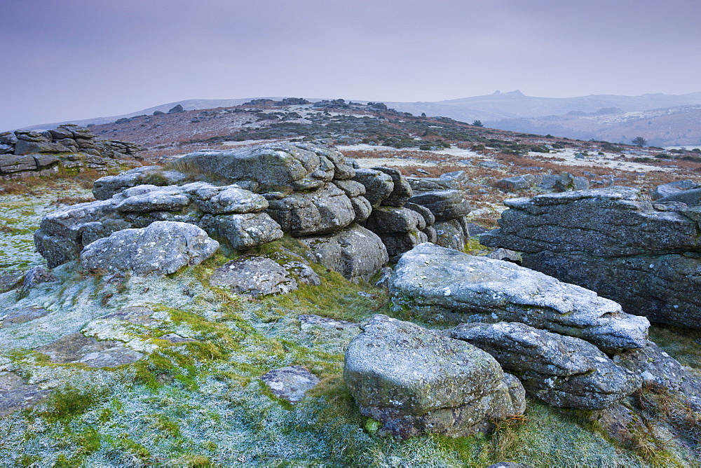 Frost covered granite rocks on the moorland at Hayne Down in Dartmoor National Park, Devon, England, United Kingdom, Europe