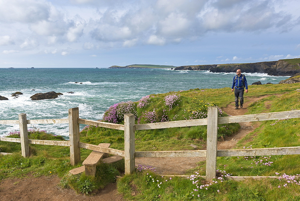 Man walking the South West Coast Path near Trevose Head, Cornwall, England, United Kingdom, Europe