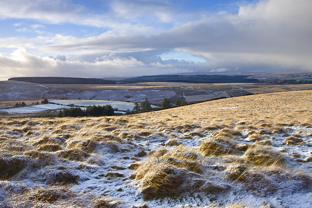 Snow dusted landscape near Chagford Common, Dartmoor National Park, Devon, England, United Kingdom, Europe