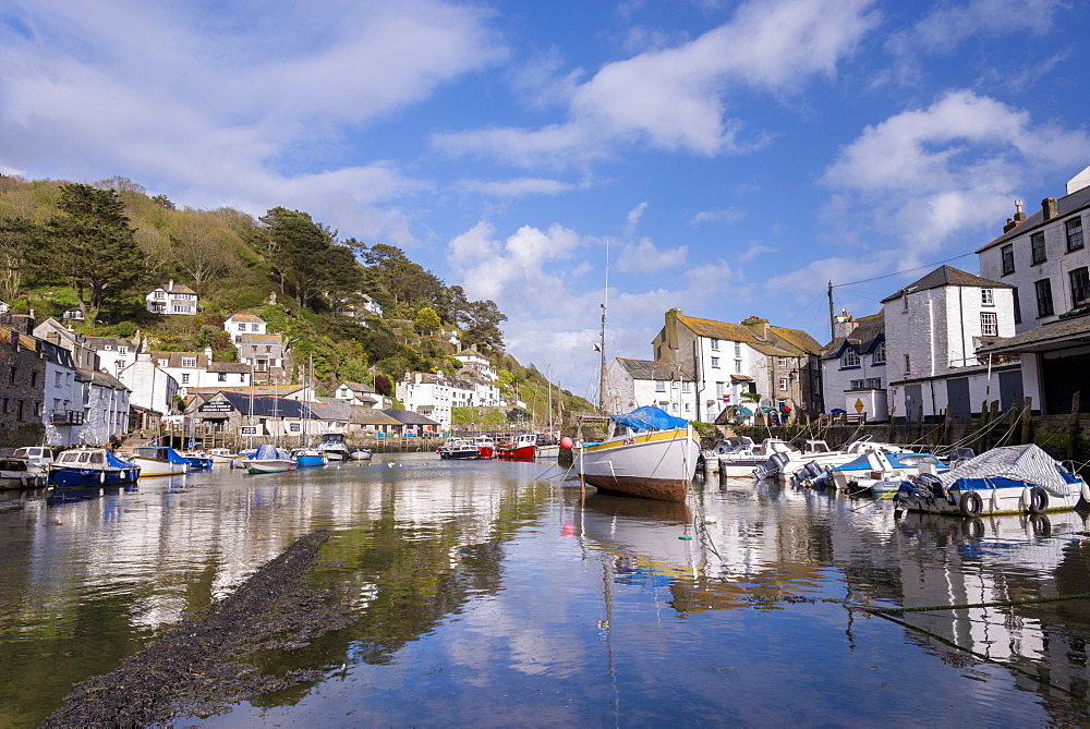 Boats in Polperro's picturesque harbour, Cornwall, England, United Kingdom, Europe