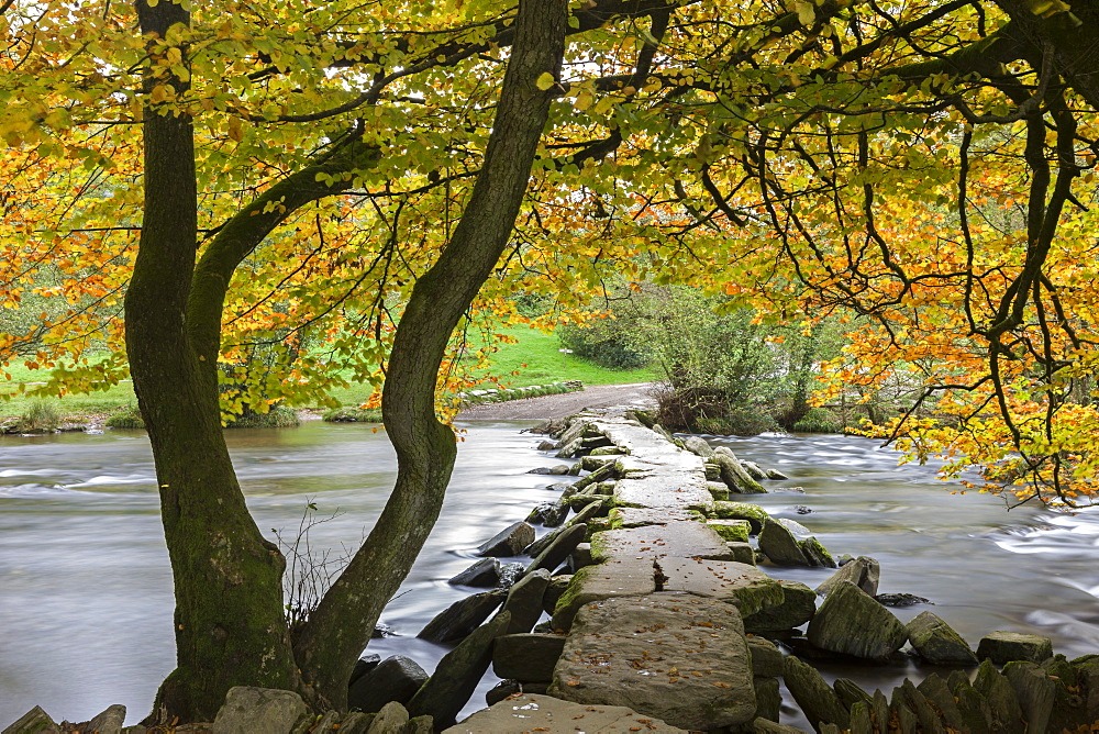 Autumnal colours above Tarr Steps in Exmoor National Park, Somerset, England, United Kingdom, Europe