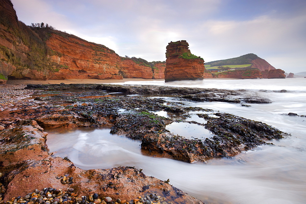 Otterton sandstone cliffs and seastacks at Ladram Bay, South Devon, England, United Kingdom, Europe