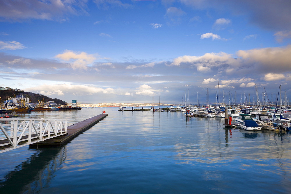 Calm morning at Brixham marina, looking towards Torquay.  Brixham, South Hams, Devon, England, United Kingdom, Europe