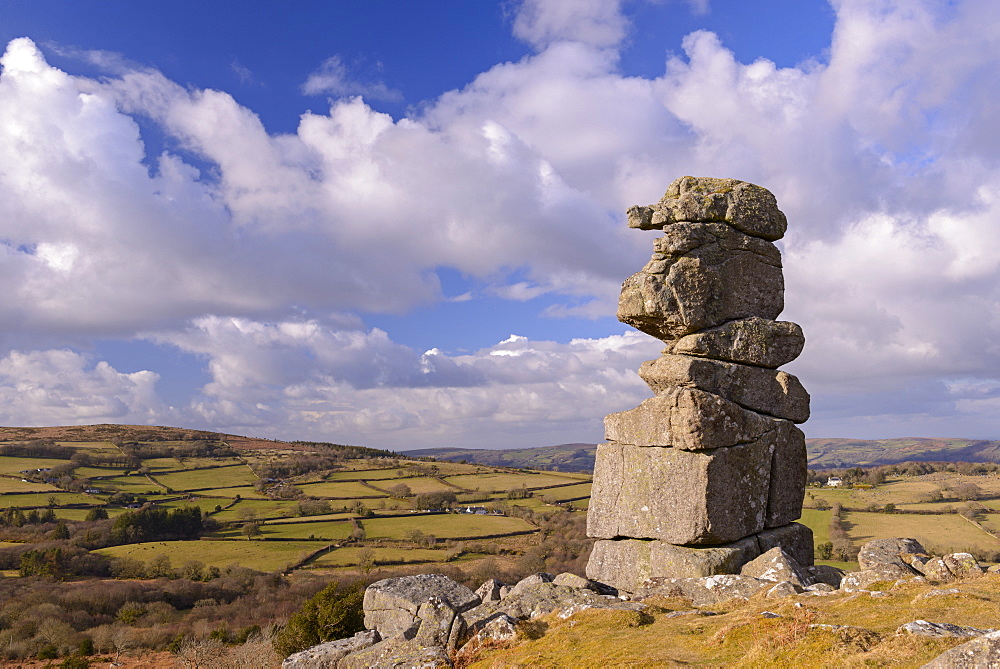 Bowerman's Nose on Hayne Down, Dartmoor, Devon, England, United Kingdom, Europe