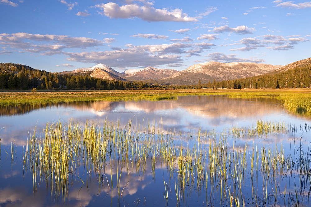 Seasonal pond on Tuolumne Meadows in Yosemite National Park, UNESCO World Heritage Site, California, United States of America, North America