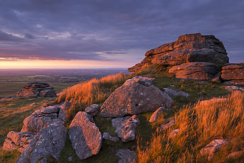 Evening sunlight illuminates West Mill Tor on Dartmoor in summer, Dartmoor National Park, Devon, England, United Kingdom, Europe