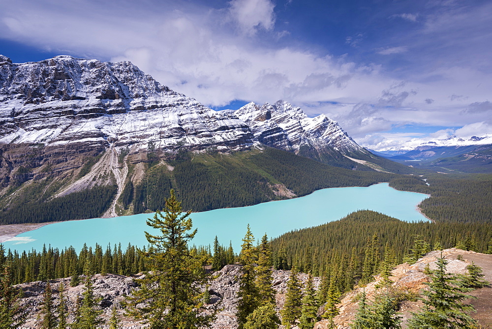 Beautiful Peyto Lake in the Canadian Rockies, Banff National Park, UNESCO World Heritage Site, Alberta, Canada, North America