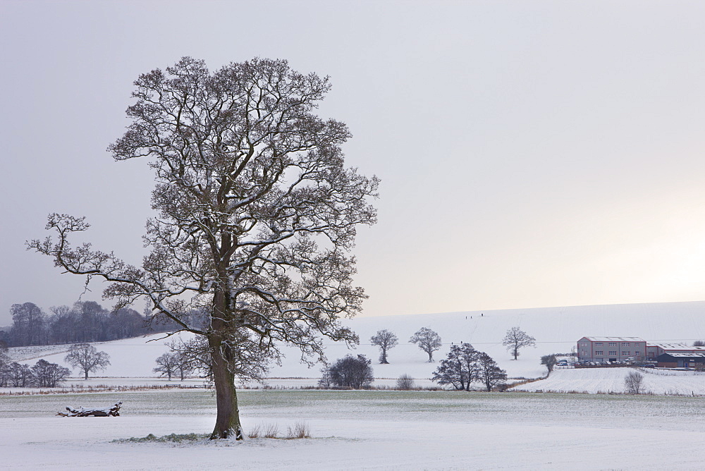 Snow covered rural landscape near Crediton, Devon, England, United Kingdom, Europe