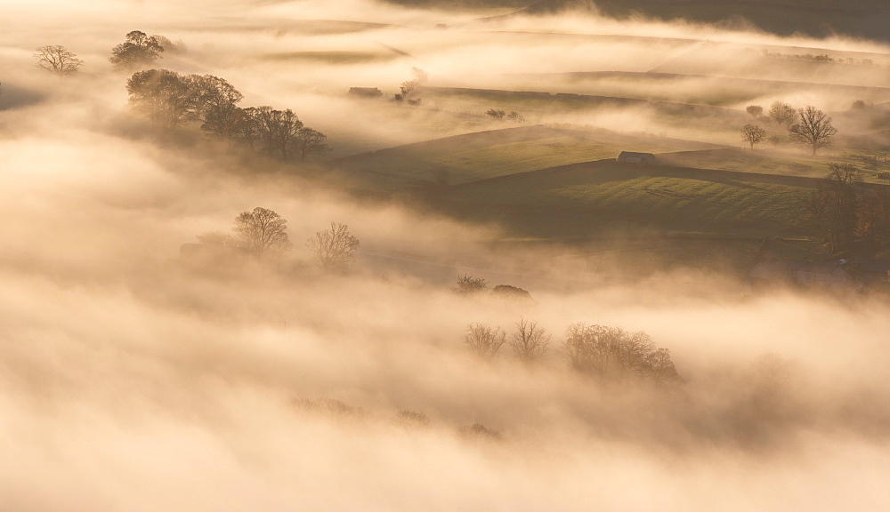 Mist covered rolling farmland at dawn, Lake District, Cumbria, England, United Kingdom, Europe