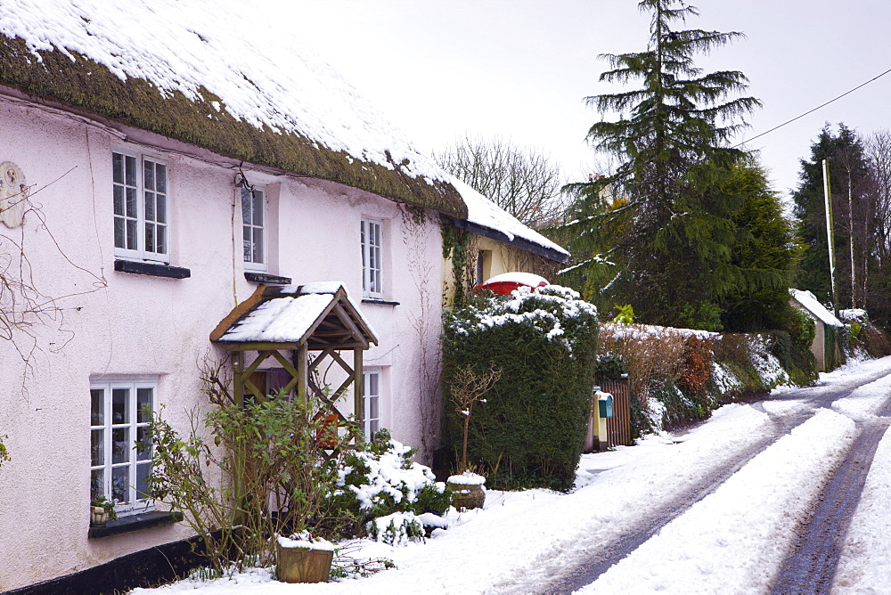 Snow covered cottage and lane in the village of Morchard Bishop, Devon, England, United Kingdom, Europe