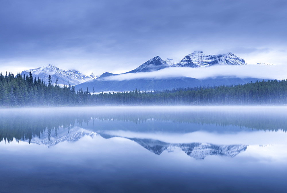 Misty morning at Herbert Lake in the Canadian Rockies, Banff National Park, UNESCO World Heritage Site, Alberta, Canada, North America