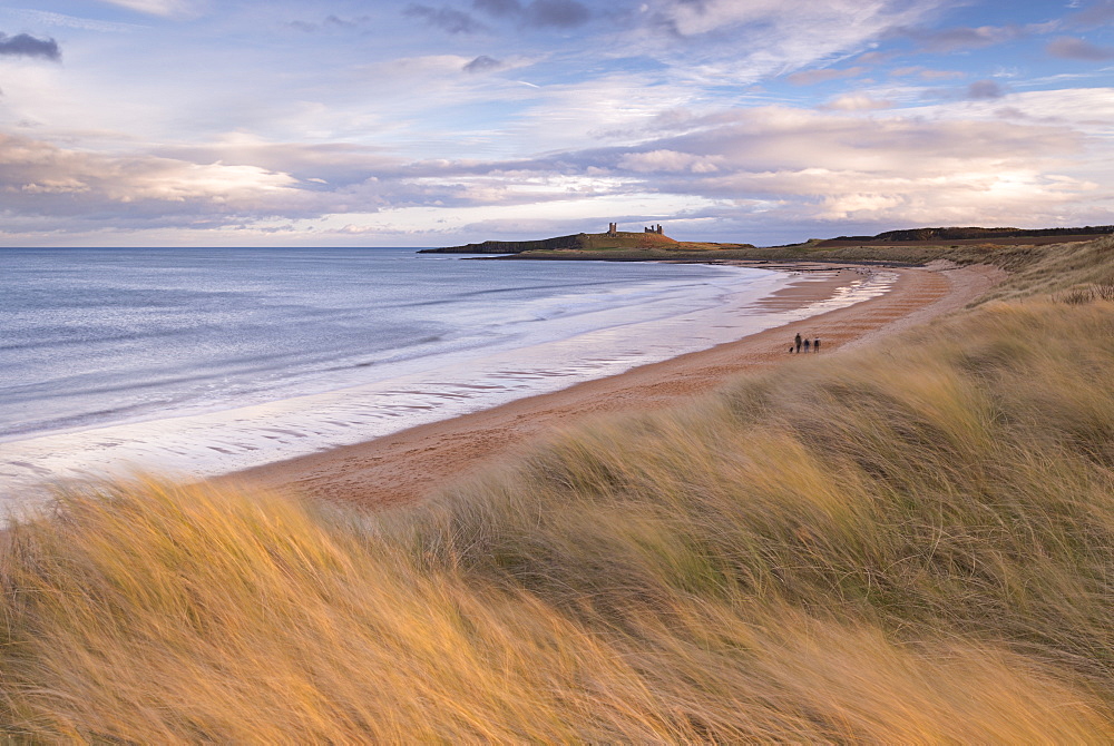 Embleton Bay and Dunstanburgh Castle, Northumberland, England, United Kingdom, Europe