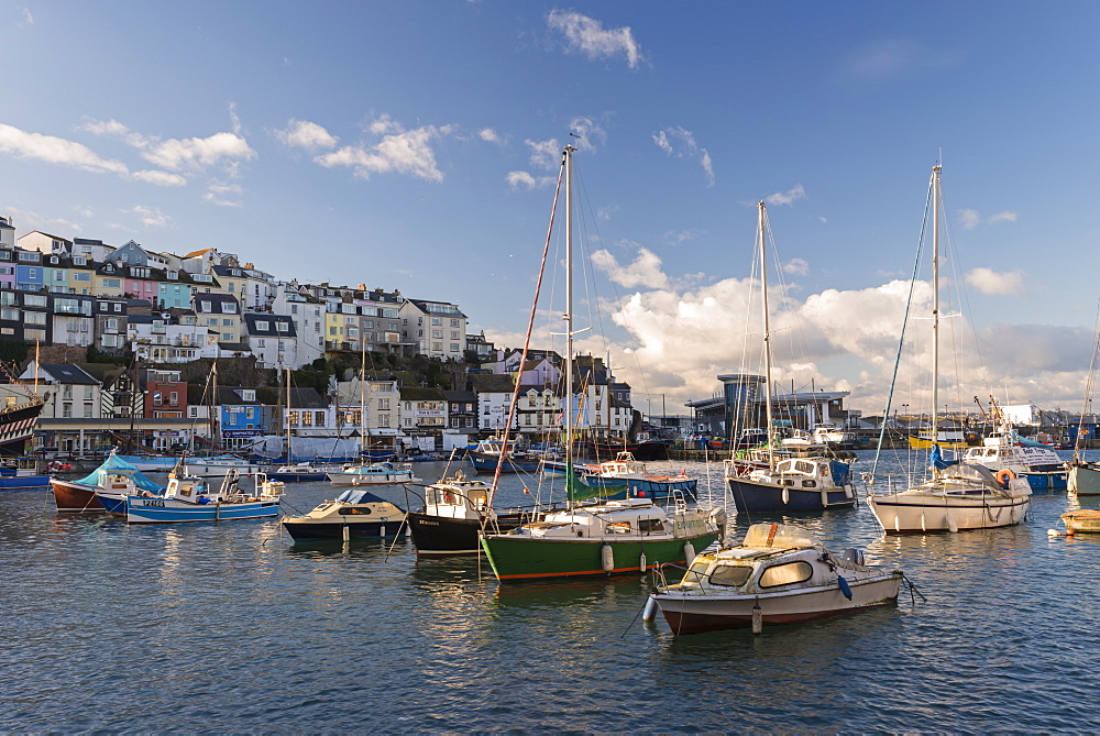 Boats on a sunny afternoon in Brixham harbour, Devon, England, United Kingdom, Europe