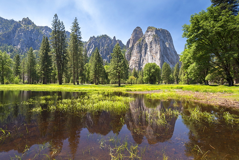 Cathedral Rocks photographed from Yosemite Valley in springtime, UNESCO World Heritage Site, California, United States of America, North America