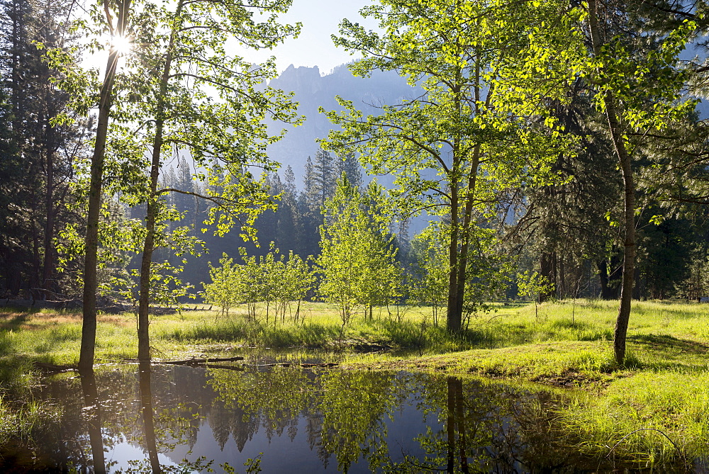 Early morning sunshine shines through spring trees, Yosemite Valley, California, United States of America, North America