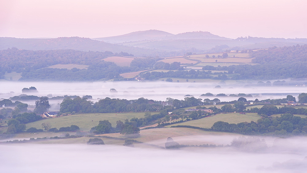 Mist covered rolling countryside at dawn near Moretonhampstead, Dartmoor National Park, Devon, England, United Kingdom, Europe