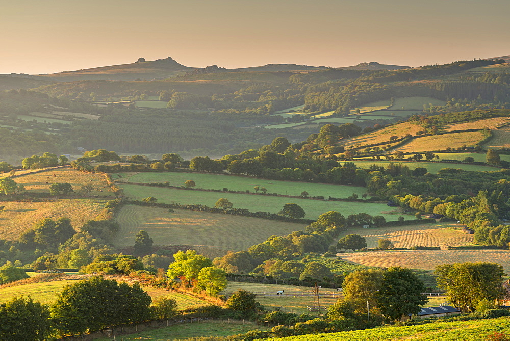 Rolling countryside views to Haytor, Dartmoor National Park, Devon, England, United Kingdom, Europe