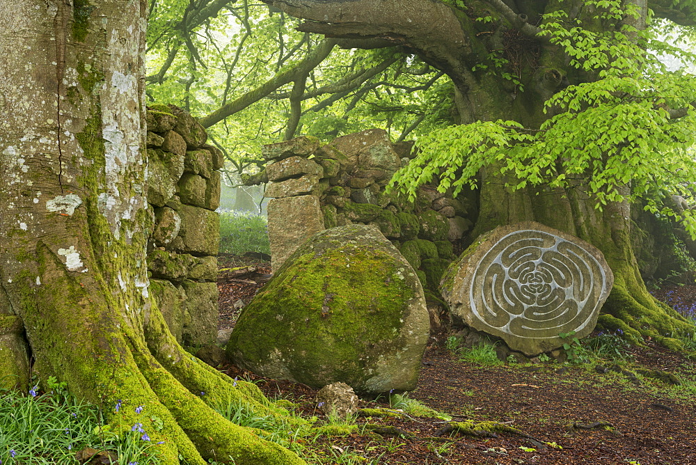 Stone sculpture by renowned British artist Peter Randall-Page in Whiddon Deer Park, Dartmoor, Devon, England, United Kingdom, Europe