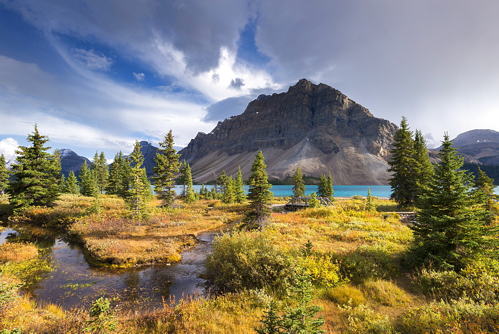 Winding stream leading through undergrowth to Bow Lake in the Canadian Rockies, Icefields Parkway, Alberta, Canada, North America