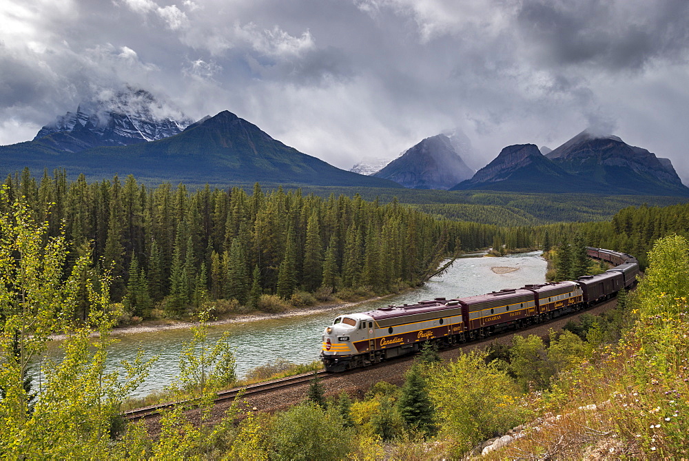 Canadian Pacific passenger train at Morant's Curve in Banff National Park, UNESCO World Heritage Site, Alberta, Rocky Mountains, Canada, North America