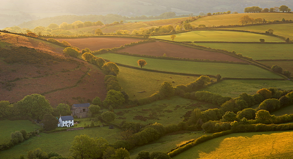 Early morning sunshine illuminates rolling farmland, Dartmoor, Devon, England, United Kingdom, Europe