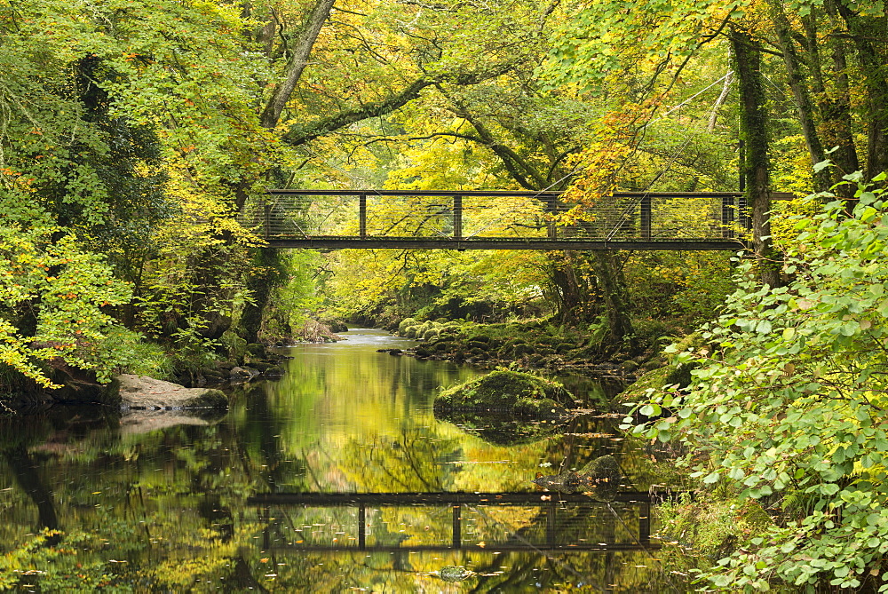 Footbridge spanning the River Teign near Fingle Bridge, Dartmoor, Devon, England, United Kingdom, Europe