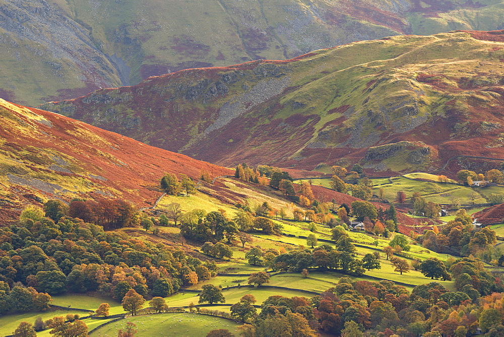 Rural farmland below Cumbrian mountains, Martindale, Lake District, Cumbria, England, United Kingdom, Europe