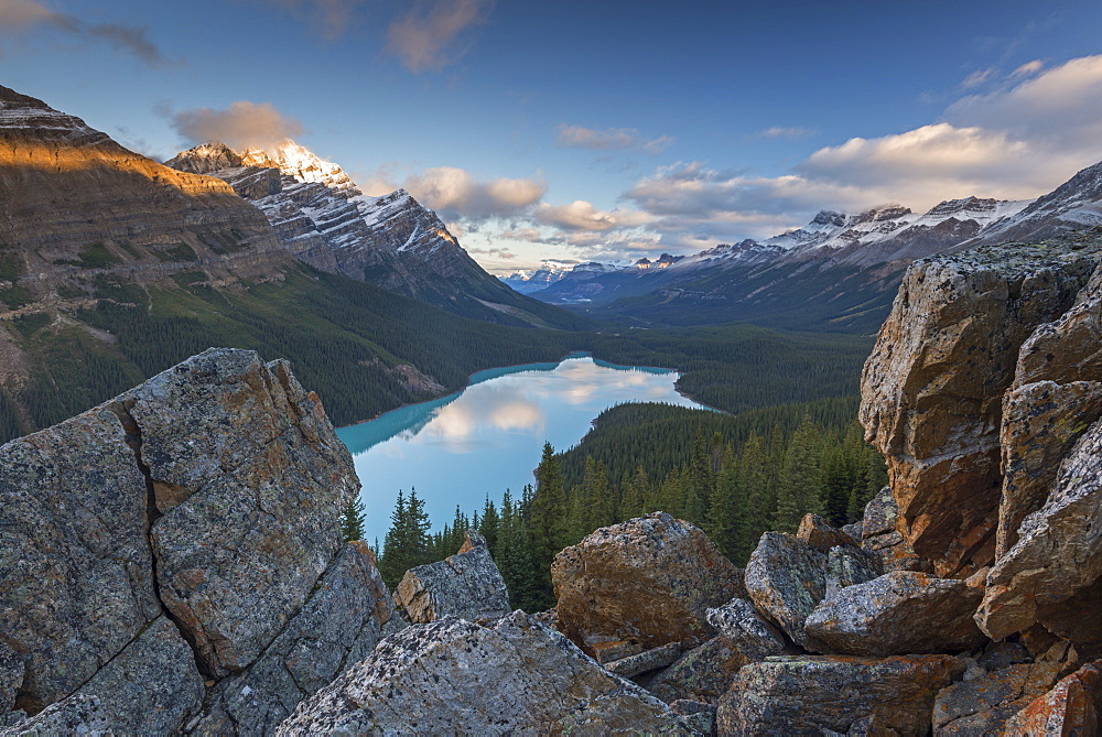 Early morning vista of Peyto Lake in the Canadian Rockies, Banff National Park, UNESCO World Heritage Site, Alberta, Canada, North America