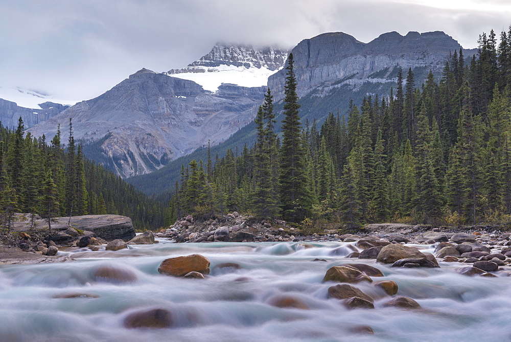 Surrounded by forest and mountains the fast flowing Mistaya River runs alongside the Icefields Parkway in the Canadian Rockies, Alberta, Canada, North America