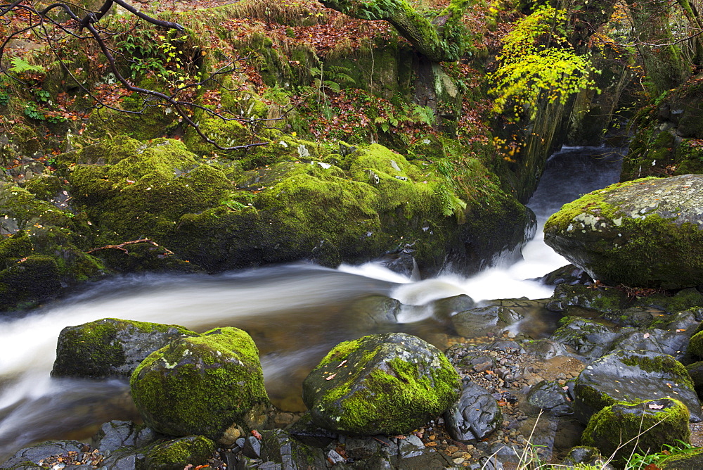 Aira Beck flowing into Aira Force, Lake District National Park, Cumbria, England, United Kingdom, Europe