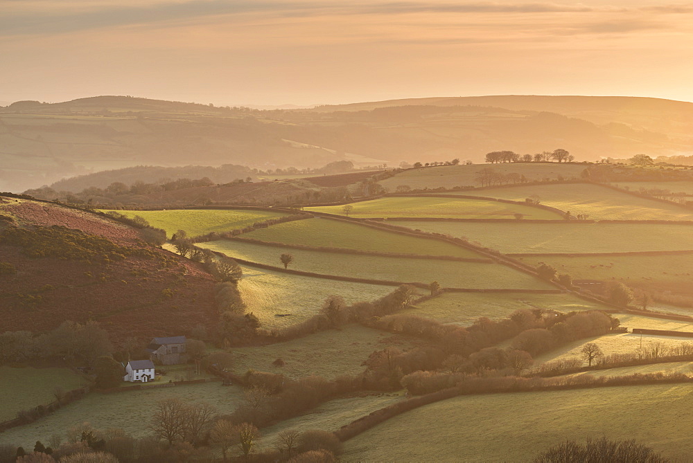 Farmhouse in idyllic rolling countryside at dawn, Dartmoor National Park, Devon, England, United Kingdom, Europe