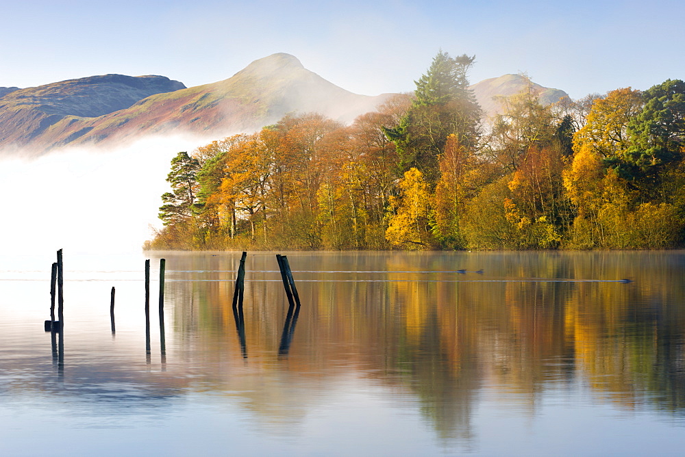 Autumn foliage on the banks of Derwent Water, Keswick, Lake District National Park, Cumbria, England, United Kingdom, Europe