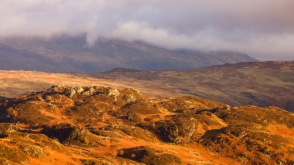 Looking across Brund Fell to High Tove in autumn, Lake District National Park, Cumbria, England, United Kingdom, Europe