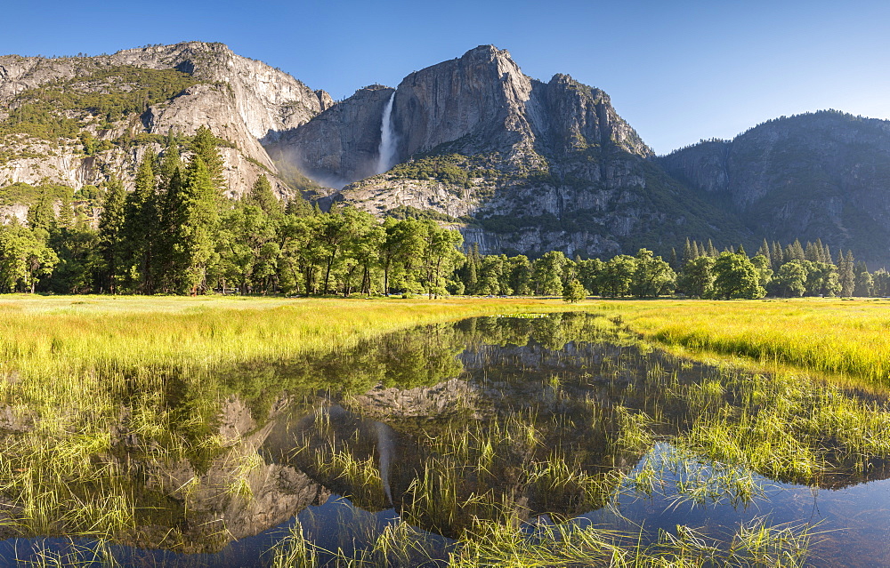 Flooded Cook's Meadow beneath Yosemite Falls, Yosemite Valley, Yosemite National Park, UNESCO World Heritage Site, California, United States of America, North America