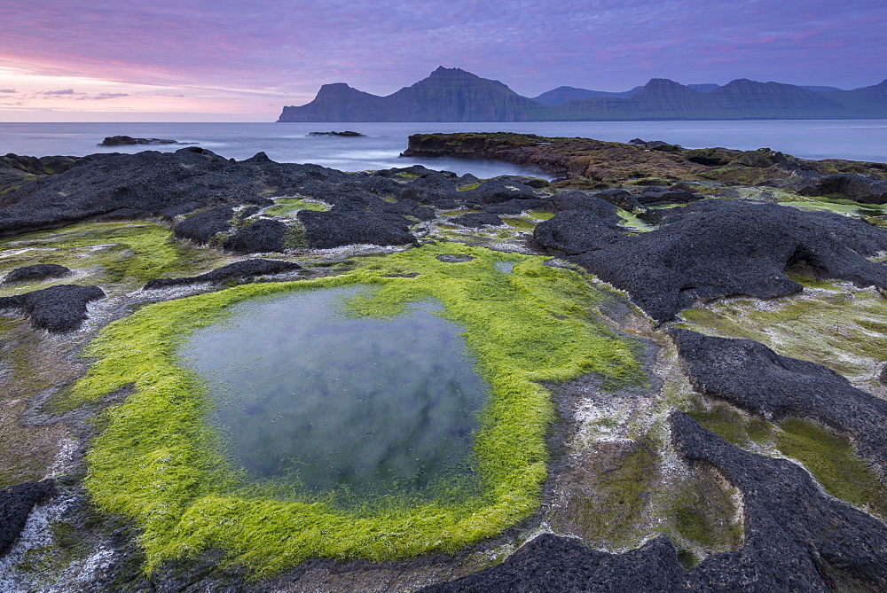 Algae coated rock pools at sunset on the basalt rock ledge seashore of Gjogv in the Faroe Islands, Denmark, Europe