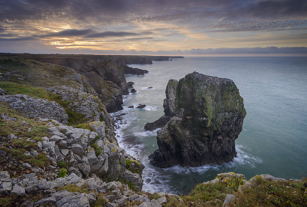 Sunrise over Elegug Stacks near Castlemartin, Pembrokeshire, Wales, United Kingdom, Europe