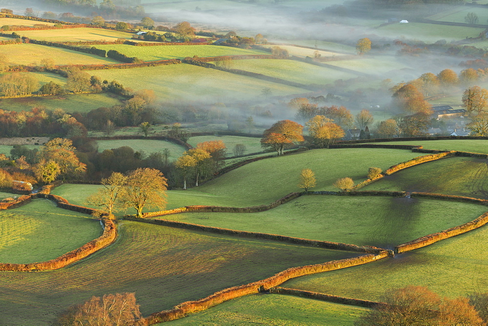 Early morning winter sunshine bathes the rolling farmland of Dartmoor National Park, Devon, England, United Kingdom, Europe