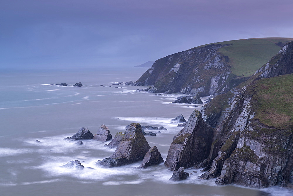 Dramatic cliffs and sea stacks at Westcombe in South Hams, Devon, England, United Kingdom, Europe