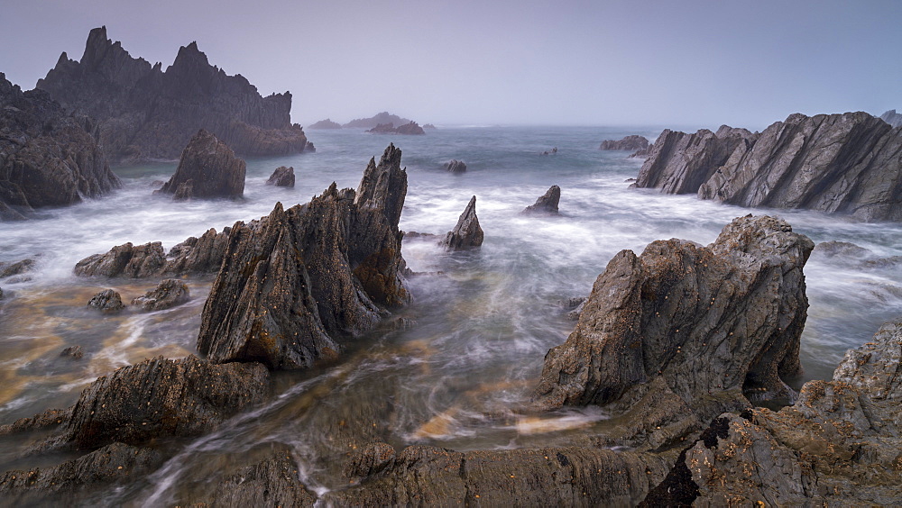 Jagged ledges on the dramatic north Devon coast, Devon, England, United Kingdom, Europe