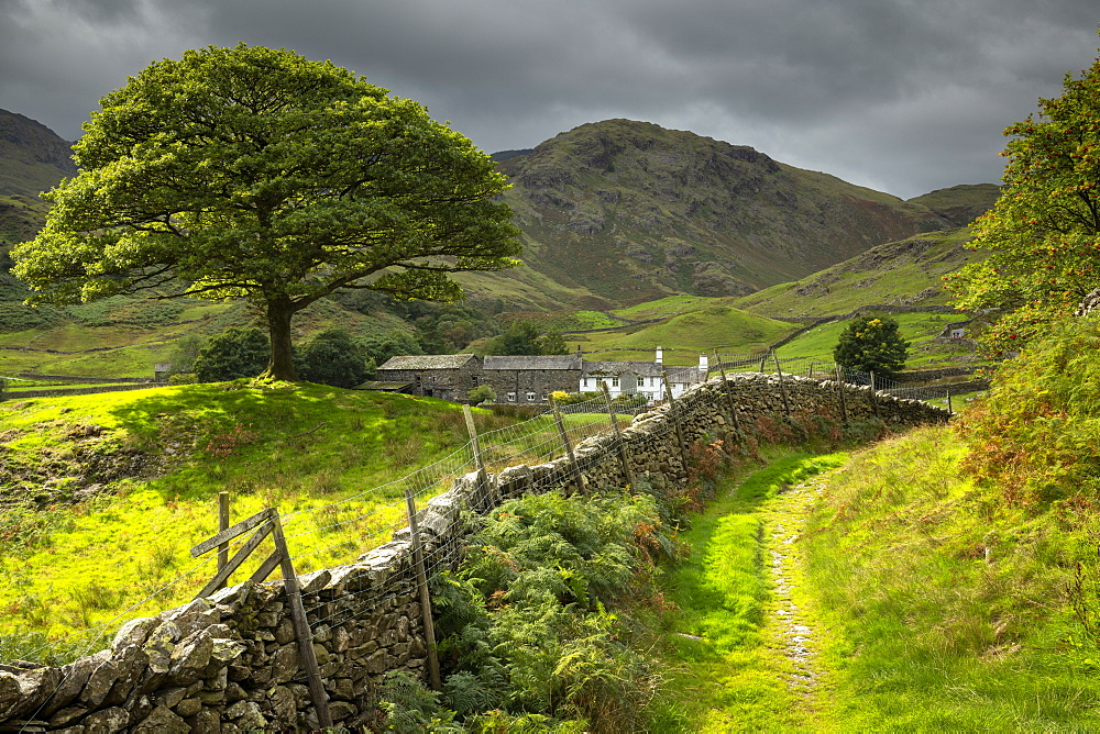 Idyllic farm and countryside view with dry stone wall in the Langdale Valley, Lake District National Park, UNESCO World Heritage Site, Cumbria, England, United Kingdom, Europe