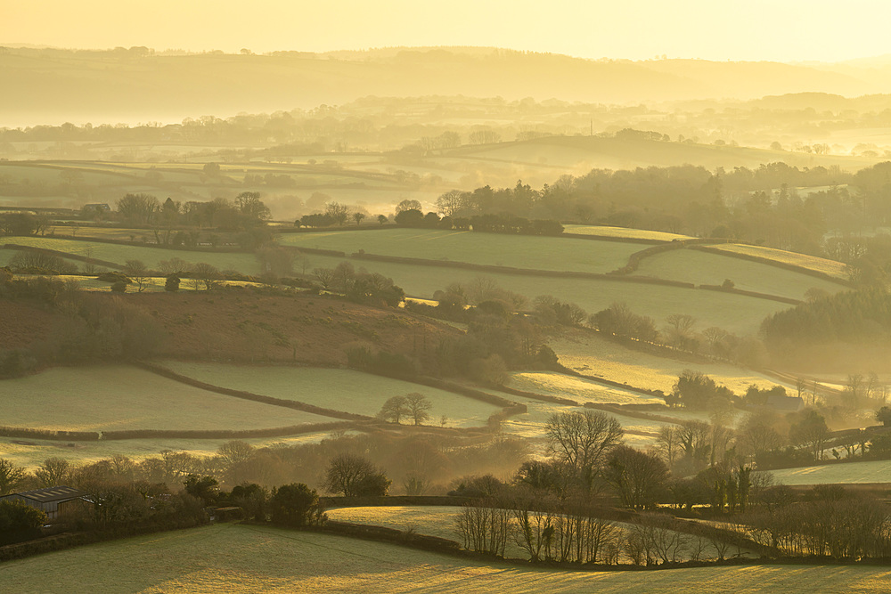 Rolling countryside near Moretonhampstead at dawn, Dartmoor National Park, Devon, England, United Kingdom, Europe