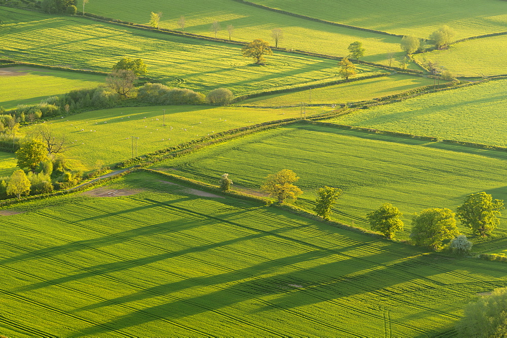 Patchwork fields in the Brecon Beacons National Park, Powys, Wales, United Kingdom, Europe