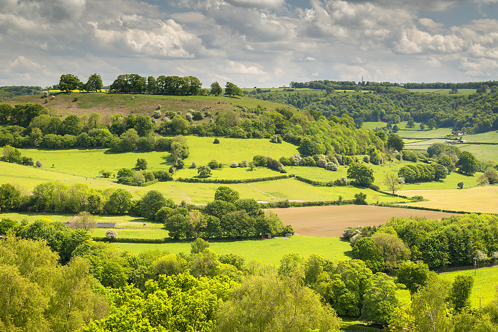 Rolling Cotswolds countryside in spring near Cam Peak, Gloucestershire, England, United Kingdom, Europe