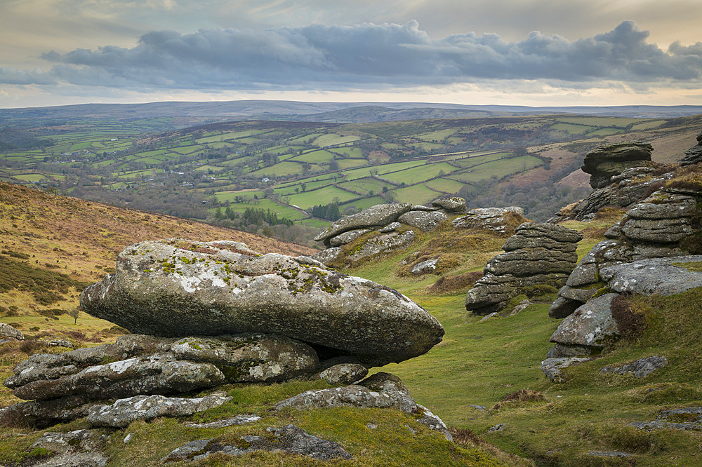 Honeybag Tor in Dartmoor National Park, Devon, England, United Kingdom, Europe