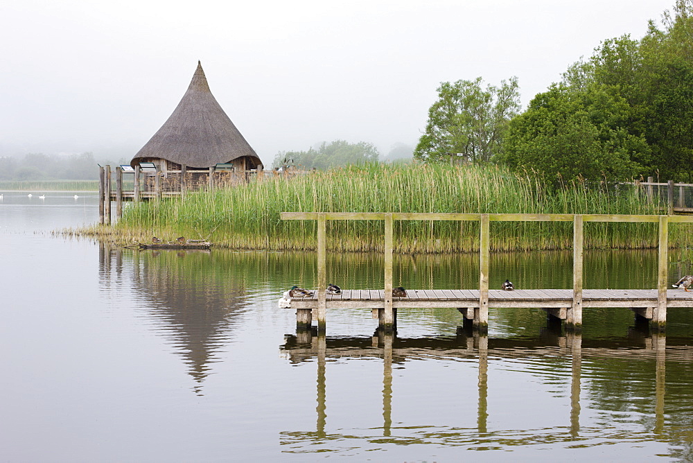 Misty morning beside the jetty and thatched hut on Llangorse Lake, Brecon Beacons National Park, Powys, Wales, United Kingdom, Europe